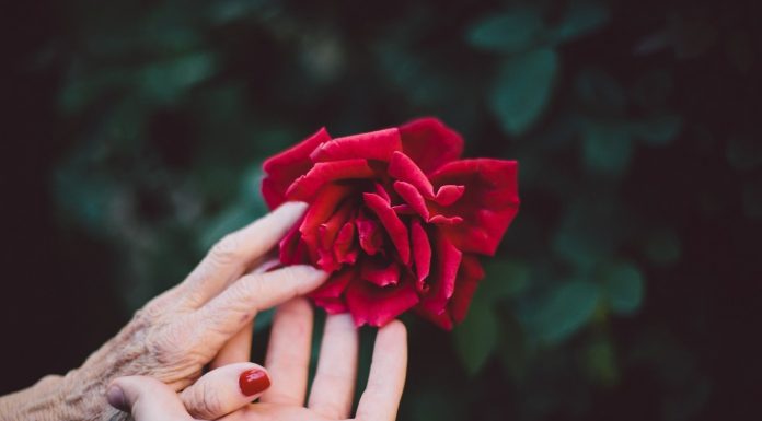Quando sua mãe partir, você perceberá que ela era sua melhor amiga.