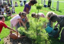 Uma árvore plantada para cada nascimento na cidade de Bruxelas.