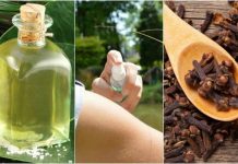 Como combater e se livrar de insetos de maneira natural.