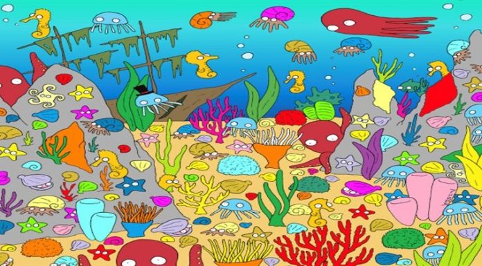 Três desafios visuais a fazer com seus amigos: encontre o peixe e os números.