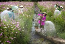 Estes 49 fotógrafos mostram como é a primavera no mundo.