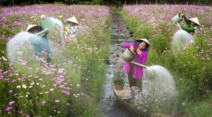 Estes 49 fotógrafos mostram como é a primavera no mundo.