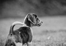 Sem esperar nada de ninguém, você vive melhor.