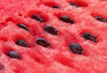 Benefícios para a saúde de sementes de melancia.