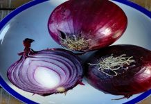 Coma mais cebolas roxas: evita ataques cardíacos, reduz o açúcar no sangue e a pressão arterial.