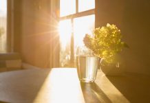 Um estudo descobriu que salas cheias de luz solar têm metade da quantidade de bactérias que salas escuras.