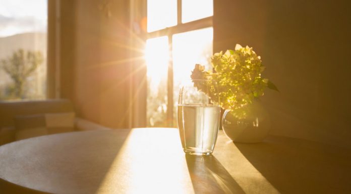 Um estudo descobriu que salas cheias de luz solar têm metade da quantidade de bactérias que salas escuras.