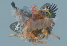 O primeiro animal que você vê revelará coisas fabulosas sobre você.