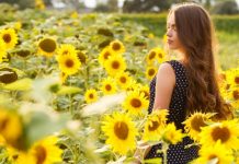 Não plante flores no jardim de quem não deseja regá-las