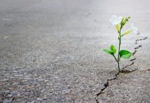 O extraordinário cérebro emocional de pessoas hipersensíveis.