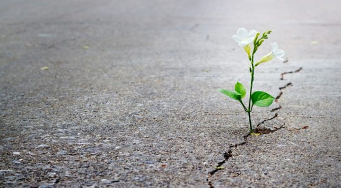 O extraordinário cérebro emocional de pessoas hipersensíveis.