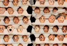 Casca de ovo não é lixo: conheça seus usos múltiplos e inusitados