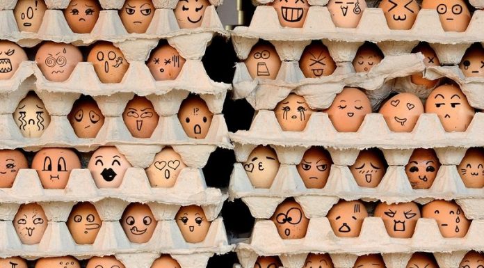 Casca de ovo não é lixo: conheça seus usos múltiplos e inusitados