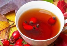 Chá com 8 bagas de rosas silvestres para a saúde de todo o organismo.
