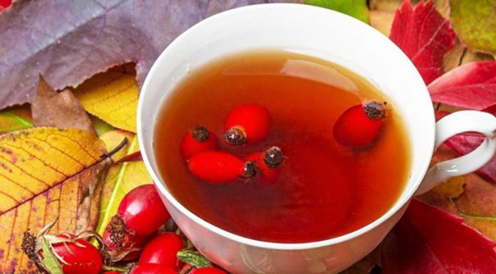Chá com 8 bagas de rosas silvestres para a saúde de todo o organismo.