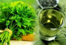 Chá de salsa para os rins: benefícios e propriedades