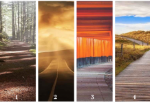 Você conhece suas verdadeiras prioridades? Escolha um caminho e descubra-os!