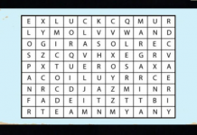 6 flores estão na sopa do alfabeto, a primeira que você encontrar revelará segredos de sua personalidade.