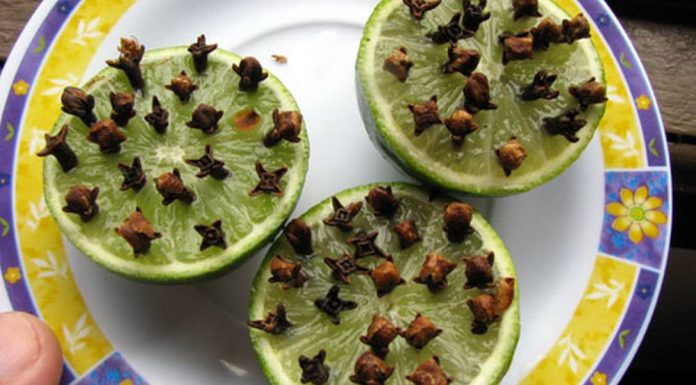 Adicione cravo em limões e limas para afastar mosquitos, vespas e moscas.