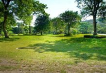 Você sabia que as áreas verdes têm capacidade para gerar felicidade?