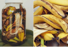 Aprenda a fazer um ótimo fertilizante à base de casca de banana para suas plantas.