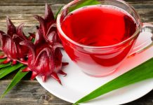 Conheça os benefícios da planta vinagreira comum no Maranhão