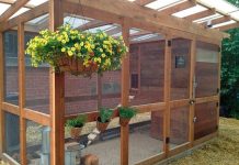 Construindo um galinheiro simples e barato no seu quintal