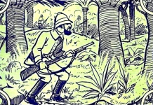 9 em cada 10 pessoas não conseguem ver o elefante. E você consegue?