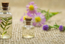 Óleo de orégano: 6 coisas incríveis que o faz ao seu corpo.