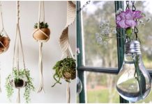 20 ideias para decorar sua casa com vasos pendurados.