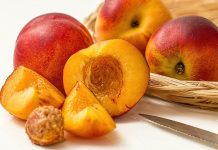 Nectarina: uma fruta que delicia os mais gulosos.