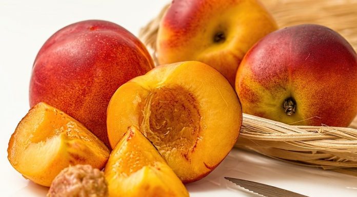 Nectarina: uma fruta que delicia os mais gulosos.