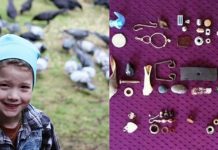 Menina de 8 anos se diverte alimentando corvos e começa a receber “presentes” deles todo dia