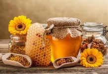 Mel de girassol: é rico em propriedades úteis para o nosso corpo.