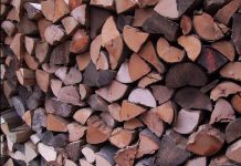 Você tem dois minutos para encontrar o ratinho na pilha de madeira. Vamos lá!