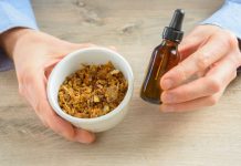 Própolis: Quando você aprender seus benefícios, dirá: – “Eu gostaria de ter conhecido antes.”