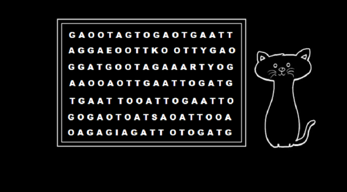 Aposto que você não encontrará a palavra “gato” em 2 minutos.