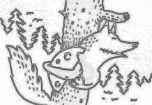 Desafie-se: Onde está o corvo?