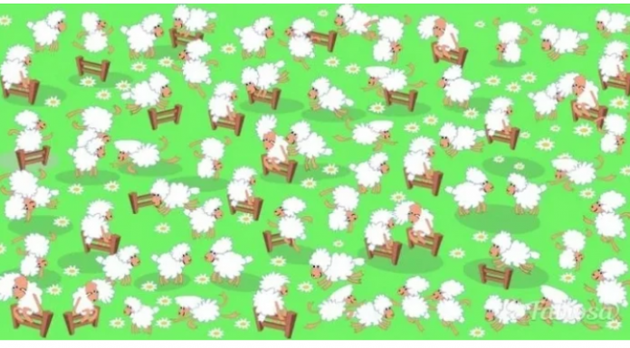 Teste de atenção plena: encontre uma galinha entre o rebanho de ovelhas