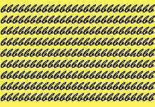 Teste seus olhos com esta imagem👀: Você vê o intruso?