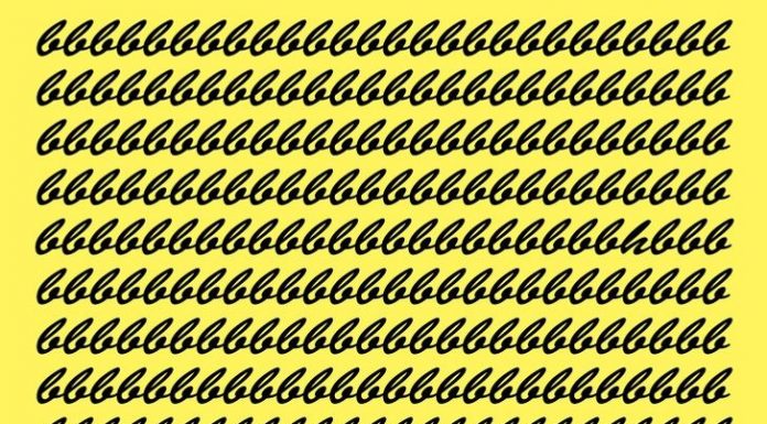 Teste seus olhos com esta imagem👀: Você vê o intruso?