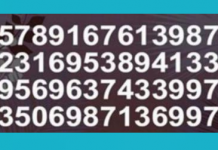 Desafio viral: Localize o número 250