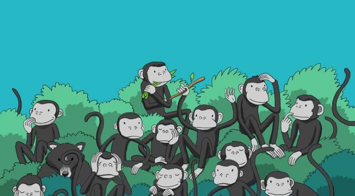 Desafie-se: Teste seus poderes de observação encontrando os objetos escondidos nestas 15 imagens.