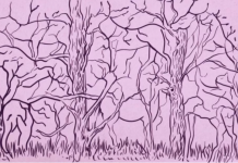 Teste de 8 animais: o que você vê primeiro diz tudo sobre você e como você é.