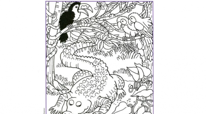 O desafio é encontrar 13 objetos perdidos na imagem.  Consegue?