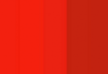 Desafio viral: olhe para a imagem e diga-nos quantos tons de vermelho você detectou.