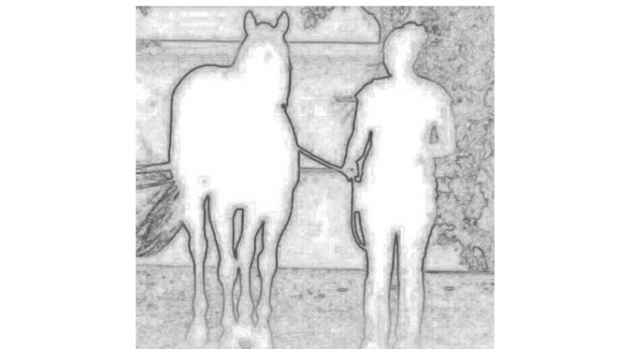 Teste: Para onde vai a garota com o cavalo? Indo ou vindo?