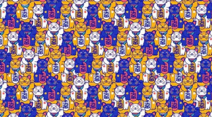 Desafio viral: Encontre os gatos sem sino escondidos o mais rápido que puder.