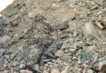 95% das pessoas não conseguem identificar esses soldados em camuflagem completa nas 10 imagens – Você consegue?