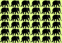 Teste de atenção: encontre o elefante diferente 🐘